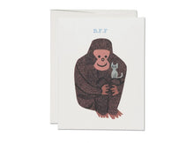 Load image into Gallery viewer, Everyday/ Friendship Cards