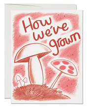 Load image into Gallery viewer, Love Cards