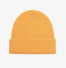 Load image into Gallery viewer, Merino Wool Beanie by Colorful Standard (20+ Colours)