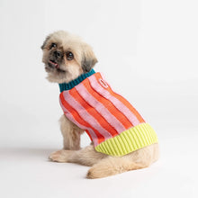 Load image into Gallery viewer, Verloop Knit Dog Sweater
