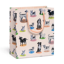 Load image into Gallery viewer, Gift Bag (Medium)
