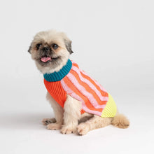Load image into Gallery viewer, Verloop Knit Dog Sweater
