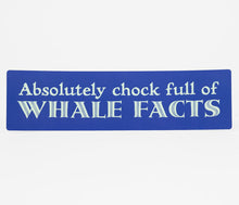 Load image into Gallery viewer, Artist- Designed Bumper Stickers
